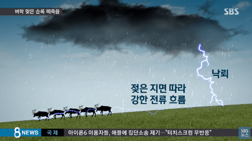 194c473b9a97156b6ecaf1565a491d39_1529044490_5646.gif